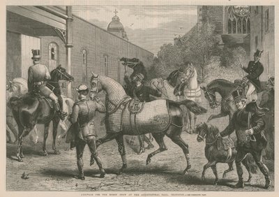 Ankünfte zur Pferdeschau in der Landwirtschaftshalle von English School