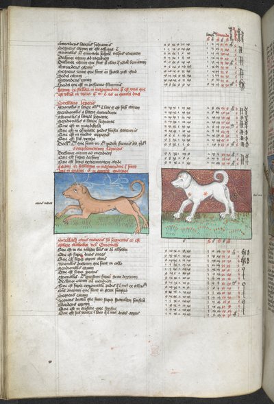 Canis maior und Canis minor als Hunde dargestellt, 