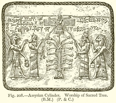 Assyrischer Zylinder. Verehrung des heiligen Baumes von English School