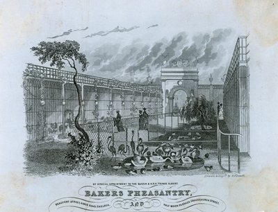Bäckerei Pheasantry, Chelsea von English School