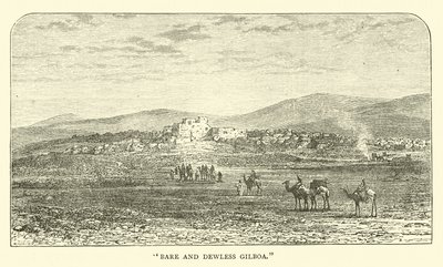Kahles und tauarmes Gilboa von English School