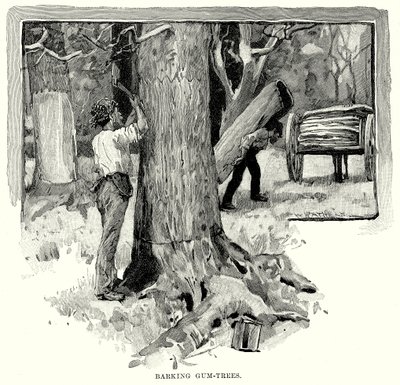 Barking Gum-Bäume von English School