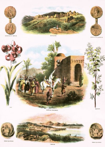 Biblische Illustrationen von English School