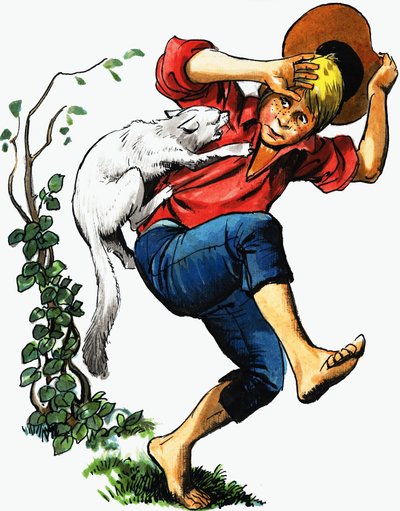 Junge von Katze angegriffen von English School