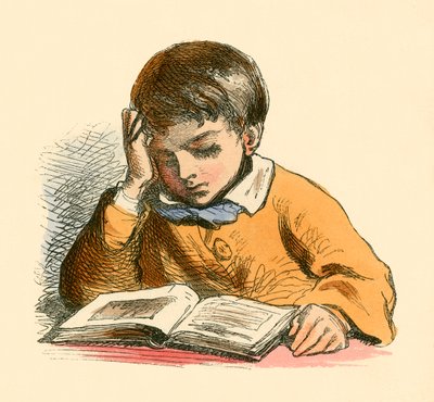 Junge beim Lesen von English School