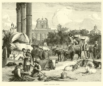 Campo Vaccino, Rom von English School