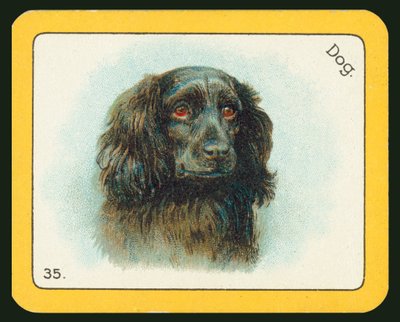 Karte aus dem Black Cat Greyhound Racing Game von English School