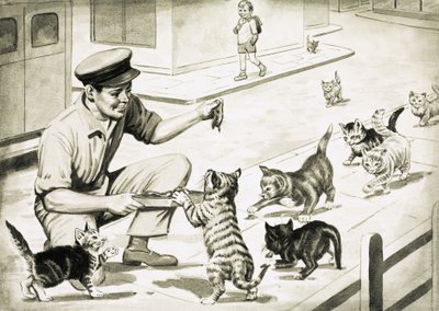 Katzen kommen, um den Katzenfleischmann zu begrüßen von English School