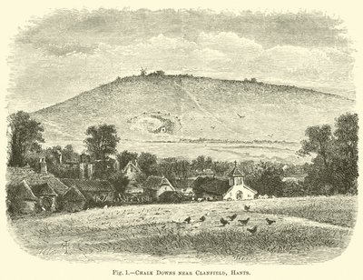 Kreidehügel bei Clanfield, Hants von English School