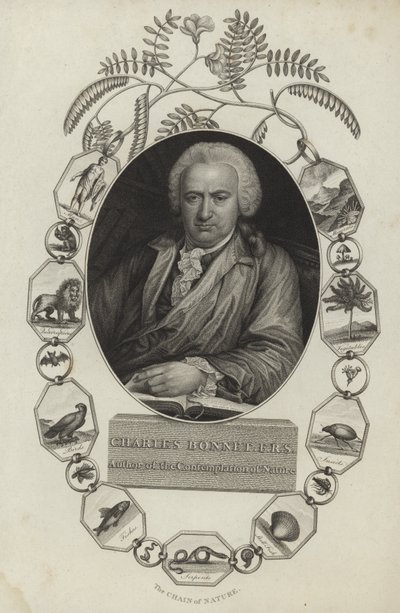 Charles Bonnet von English School