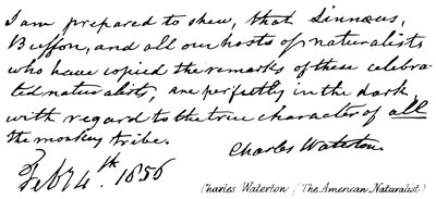 Charles Waterton (Der amerikanische Naturforscher) von English School