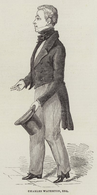 Charles Waterton, Esquire (Stich) von English School