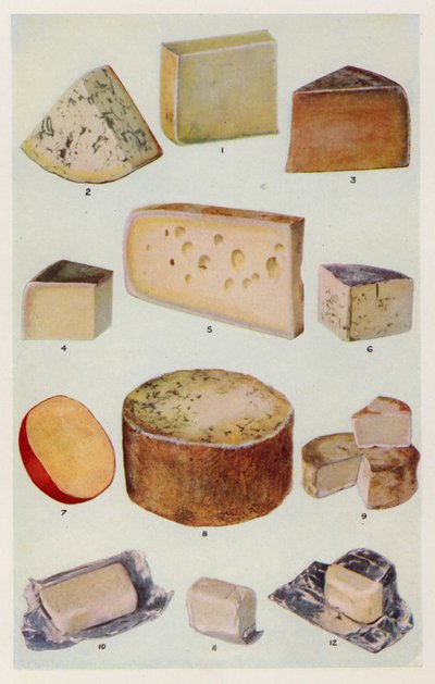 Cheddar; Gorgonzola; Double Gloster; Parmesan; Gruyere; Roquefort; Holländisch; Stilton; Camembert; St Ives; Sahne von English School