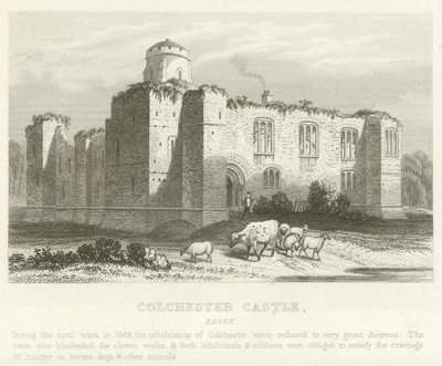 Colchester Schloss, Essex (Stich) von English School