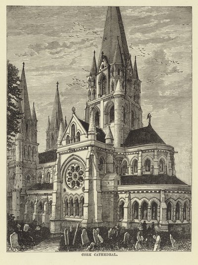 Kathedrale von Cork von English School