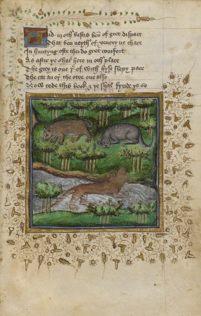 Illustration eines Dachses, einer Wildkatze und eines Otters; mit Versen, aus einem 