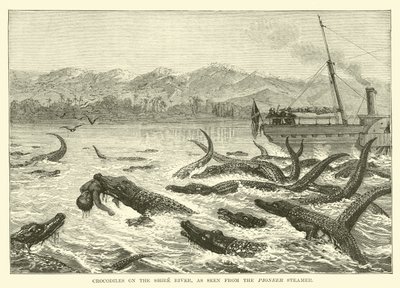Krokodile am Shire-Fluss, gesehen vom Pionier-Dampfer von English School