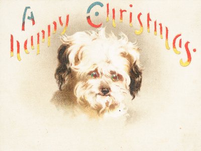 Niedlicher Hund! Weihnachtskarte von English School
