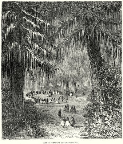 Zypressengärten von Chapultepec (Gravur) von English School