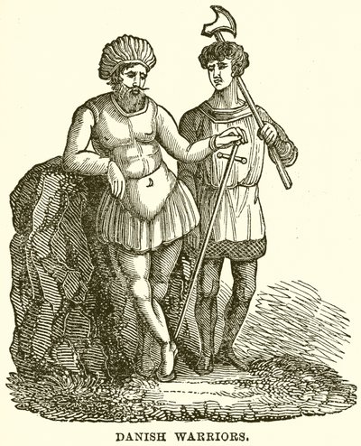 Dänische Krieger von English School