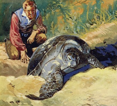 Darwin fragte sich, warum sich die Riesenschildkröten der Galapagos-Inseln auf jeder Insel unterschieden von English School
