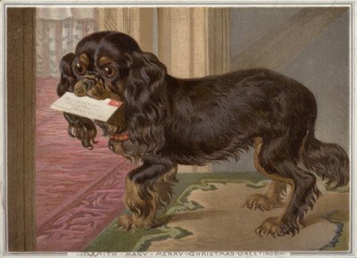 Hund trägt einen Brief im Maul von English School