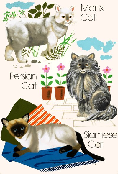 Hauskatzen von English School