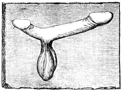 Doppelter Phallus vom Türsturz eines Vomitoriums (Ausgangspassage) im Amphitheater von Nimes (Colonia Nemausus) von English School