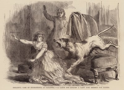 Schrecklicher Fall von Hydrophobie in Saratoga, ein großer Hund greift eine Dame an, die gerade zum Abendessen angezogen ist von English School