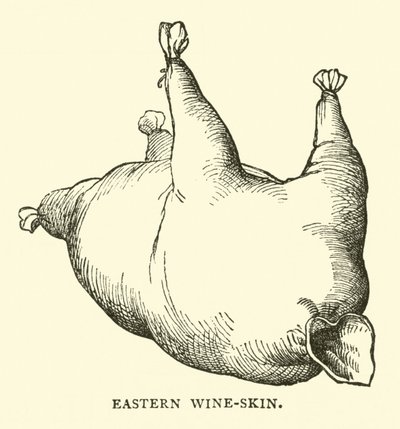Östlicher Weinschlauch von English School