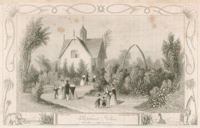 Elefantenhaus im Surrey Zoological Gardens, London von English School