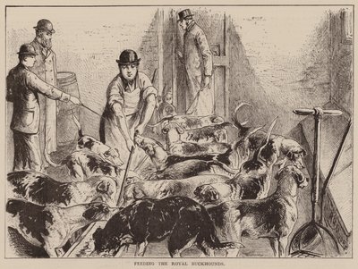 Fütterung der königlichen Jagdhunde (Gravur) von English School