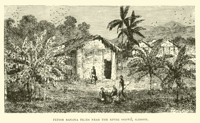 Fetisch-Bananenbäume nahe dem Fluss Ogowe, Gabun von English School