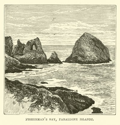 Fischerbucht, Farallone-Inseln von English School