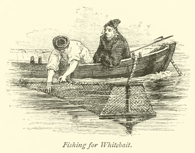 Fischen nach Weißfisch von English School