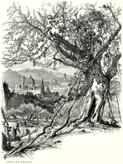 Florenz, von Bellosguardo (Gravur) von English School