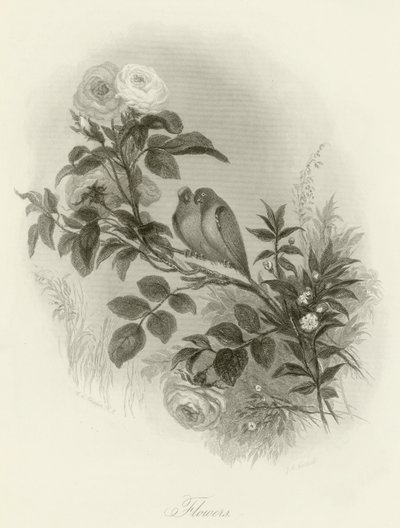 Blumen von English School