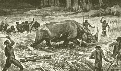 Dem gefesselten Nashorn folgen (Gravur) von English School