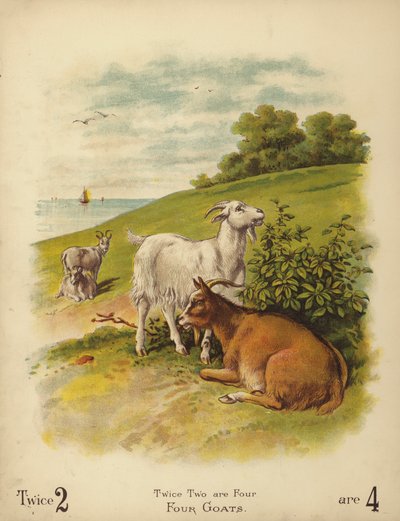 Vier Ziegen von English School
