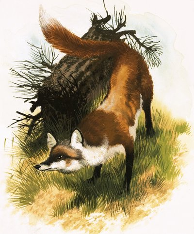 Fuchs von English School