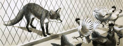 Fuchs beobachtet Hühner von English School