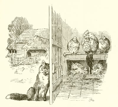Fuchs vor dem Hühnerstall von English School