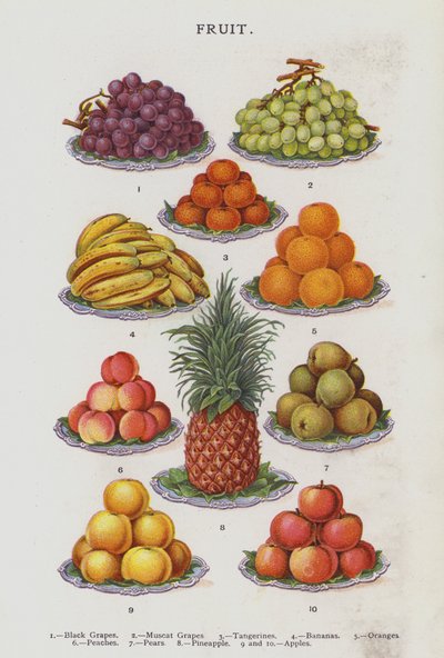 Früchte (Chromolithografie) von English School