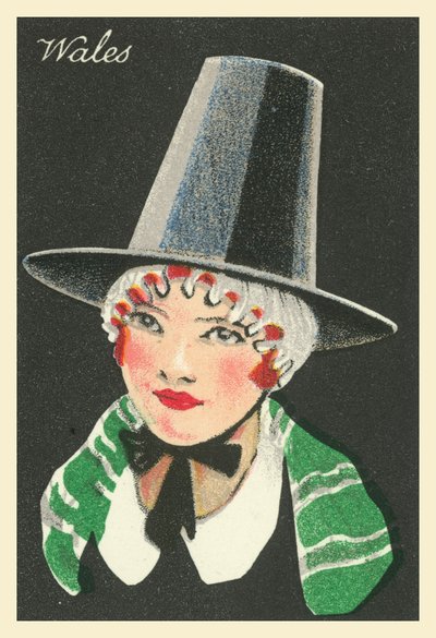 Mädchen aus vielen Ländern: Wales von English School