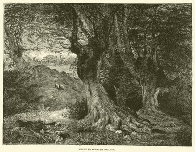Lichtung in Burnham Beeches von English School
