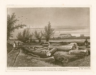 Gelände im Süden von Westminster, einschließlich des Holzplatzes an der Millbank von English School