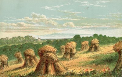 Ernte von English School