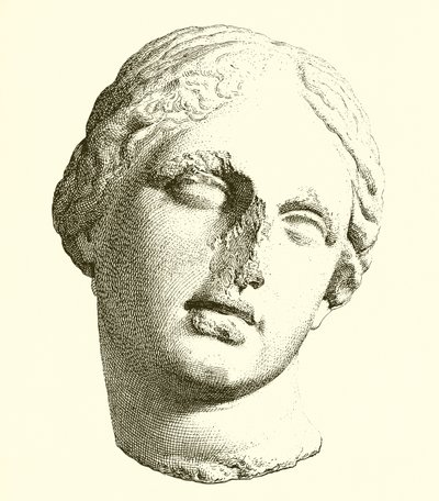 Kopf der Aphrodite von English School