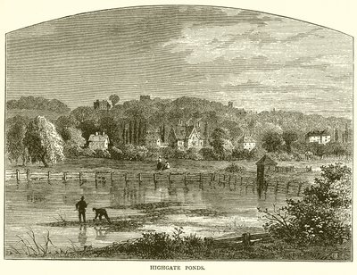Highgate-Teiche von English School