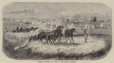 Pferde treten Korn in der römischen Campagna (Gravur) von English School